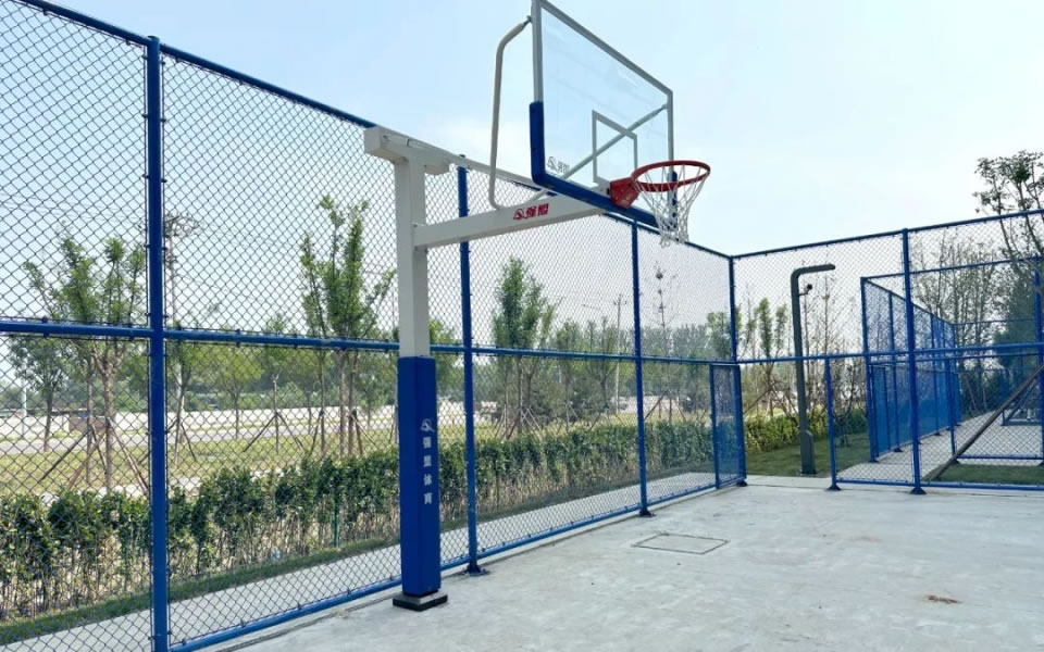 1692758911606232.jpg 9.jpg